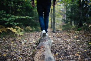 Photo Balance and abundance