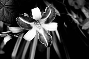 Photo Mindful handshake