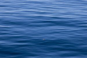 Photo Calm ocean