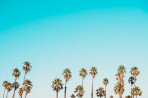 Photo Scaling Your Venture