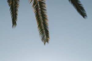 Photo Ethical AI