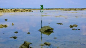 Photo Resilient Business Ecosystems