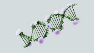 Photo Biotech and Longevity